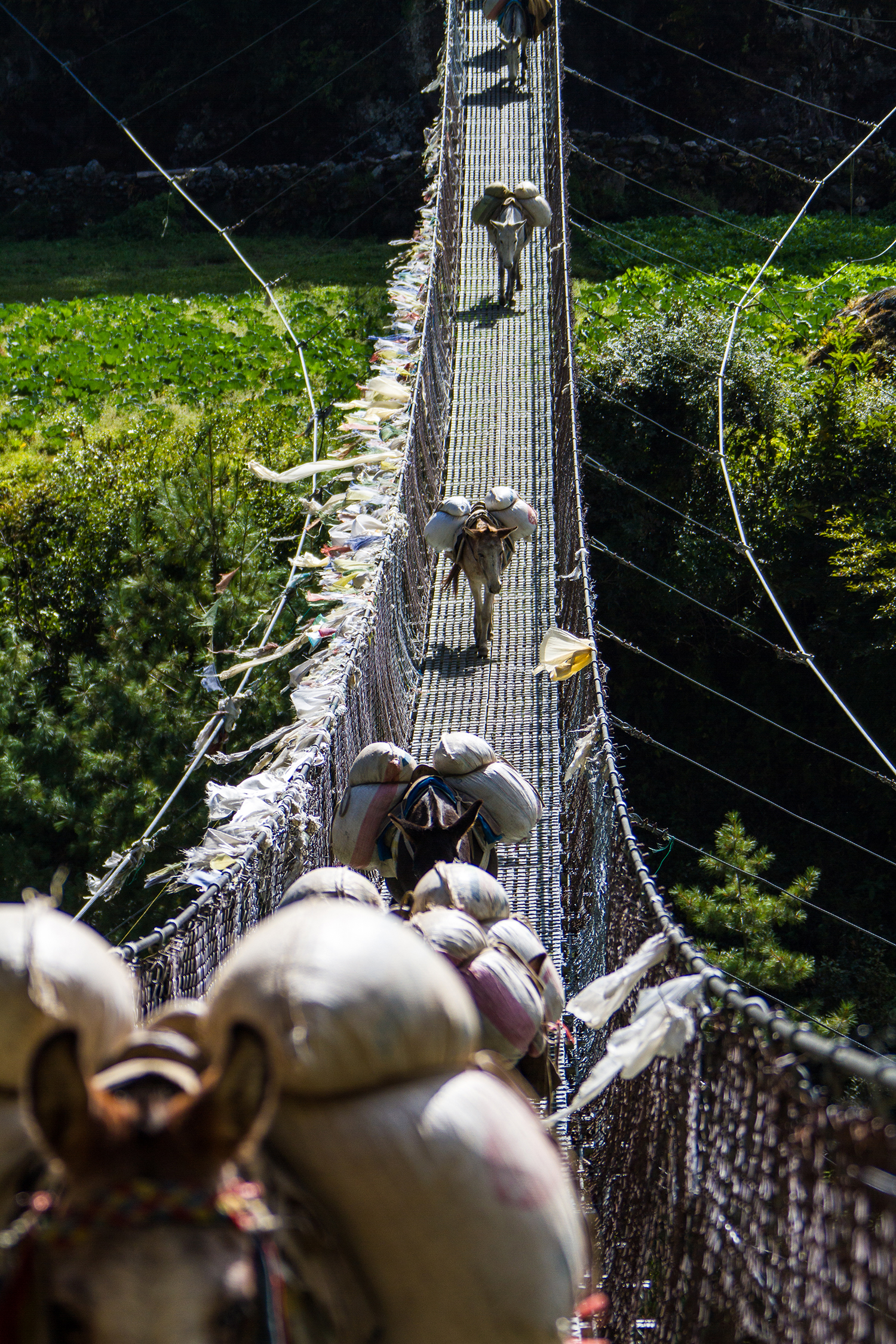 Bridge perspective breaks the leading lines rules