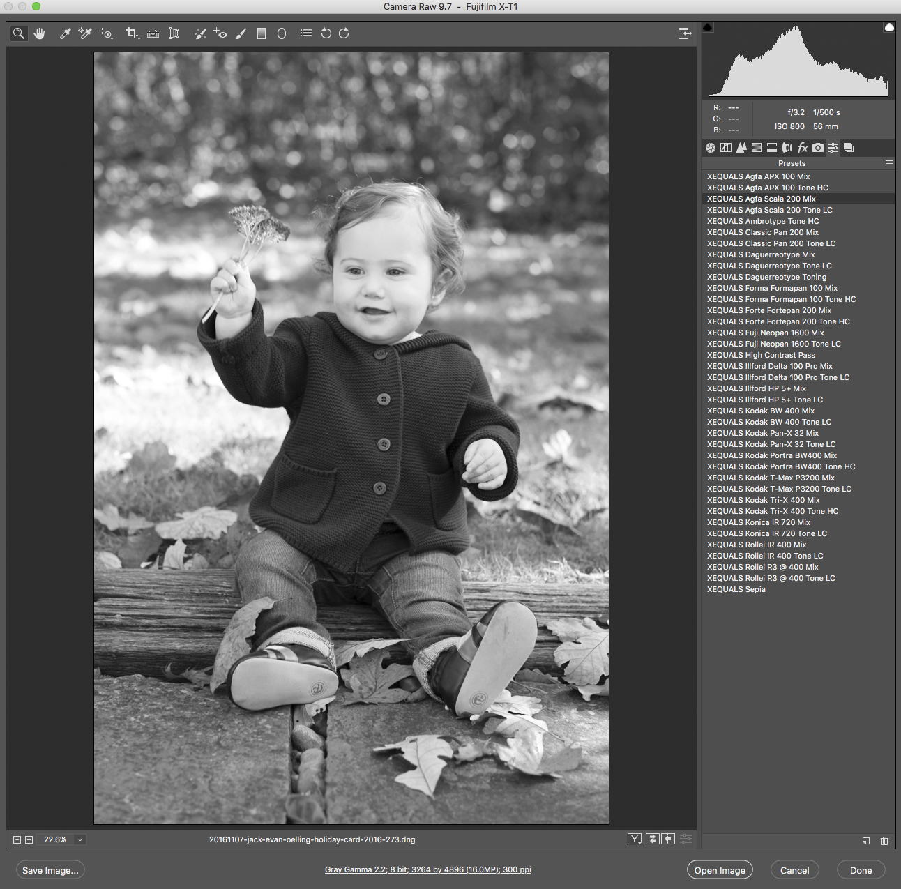 Working with XEQUALS Black & White for Photoshop is simple and easy – the added benefit being you can access them directly in Adobe Bridge as well. We’ve pulled some examples of exactly how you can integrate the solution into your own workflow once you have them installed.