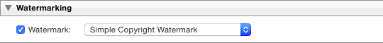 Enabling Lightroom's Simple Copyright Watermark