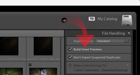 Lightroom's Build Smart Previews