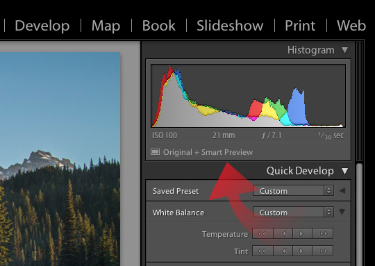 Quick Develop Module & Histogram in Lightroom