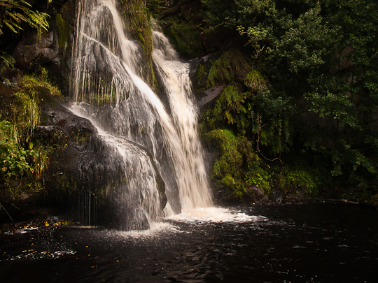 Darker shades on the waterfall print