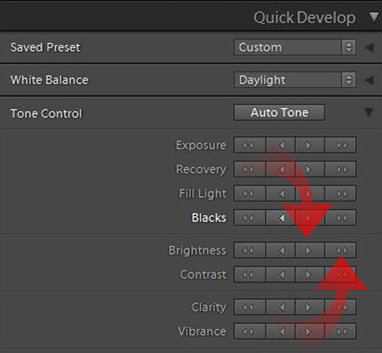 Lightroom quick develop panel