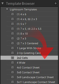 Lightroom template browser