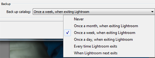 Image of Lightroom Backup settings