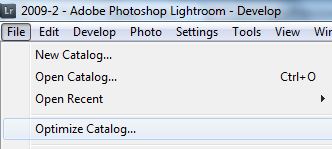 Image of File option to Optimize the catalog