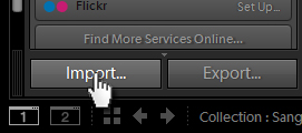 importing your images using this button in lightroom