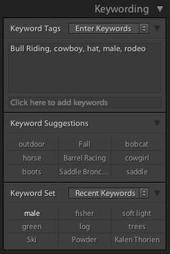 Keywording in Lightroom panel